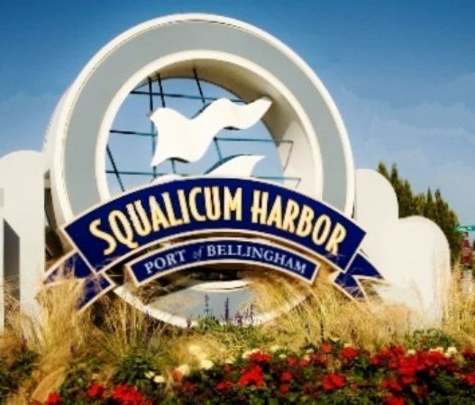 Squalicum Harbor Marina